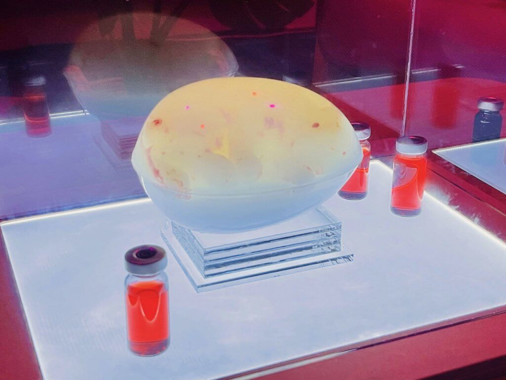 Biodesign Challenge: The Bunny with a Synthetic Heart growing embryo in display case