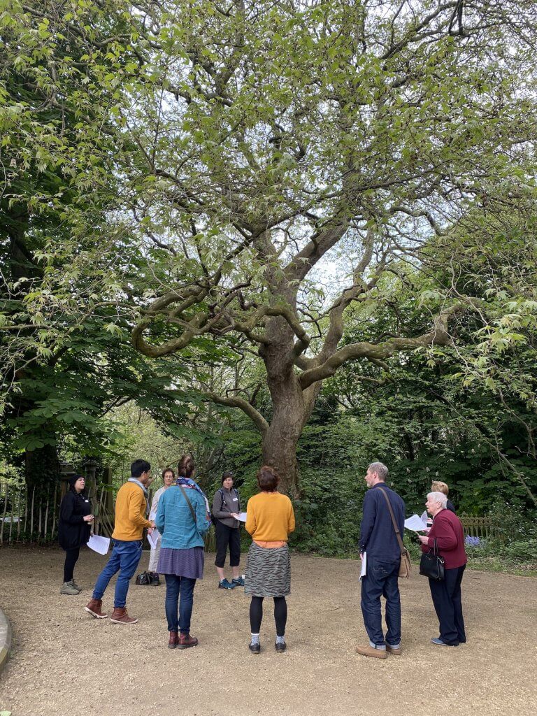 When Seasons Change - the photograph shows a small group of people, standing in the shade of a very large, old tree, having a discussion