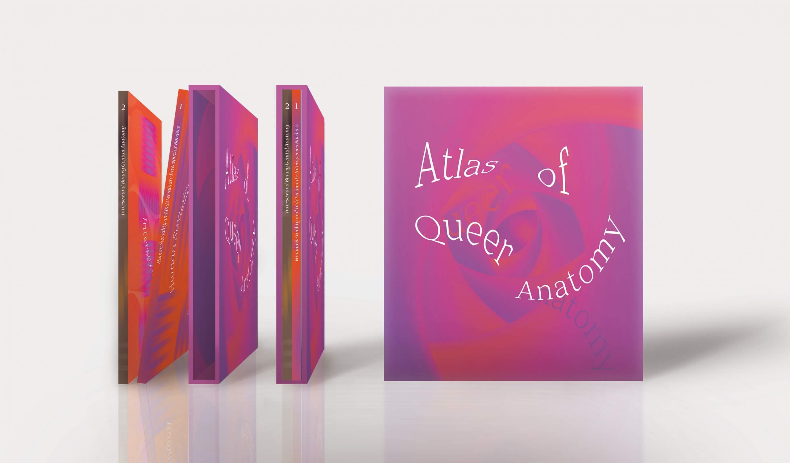 Kuang-Yi Ku’s work Atlas of Queer Anatomy nominated for Dutch Design Award